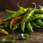 Poivron padrón, le poivron espagnol pour tapas